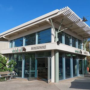 Elephant Odyssey - Sabertooth Grill