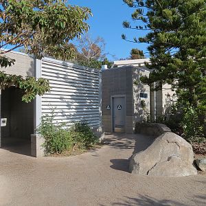 Elephant Odyssey - Sabertooth Grill