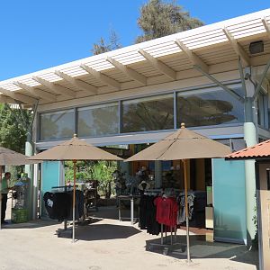 Elephant Odyssey - Tuskers Trunk