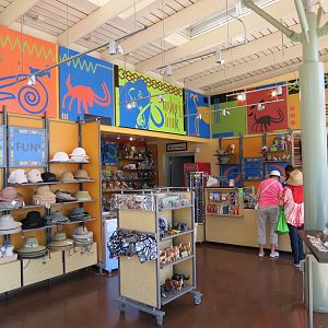 Elephant Odyssey - Tuskers Trunk