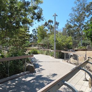 Elephant Odyssey - Pronghorn and Dromedary Camel Exhibit