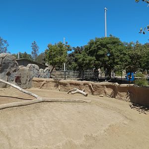 Elephant Odyssey - Pronghorn and Dromedary Camel Exhibit