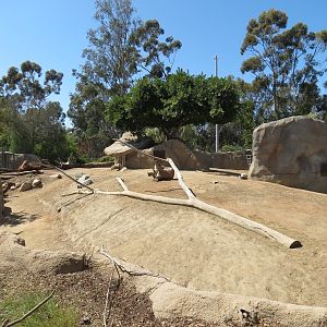 Elephant Odyssey - Pronghorn and Dromedary Camel Exhibit