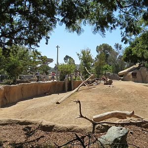 Elephant Odyssey - Pronghorn and Dromedary Camel Exhibit