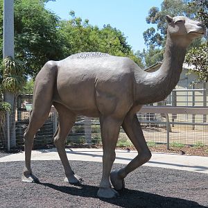 Elephant Odyssey - Camel Statue