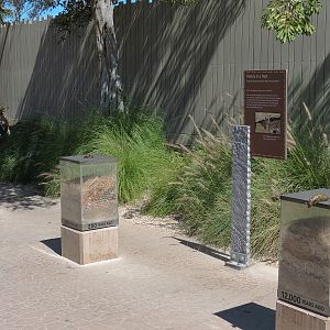 Elephant Odyssey - Pack Rat Den Interpretive Display