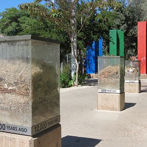 Elephant Odyssey - Pack Rat Den Interpretive Display