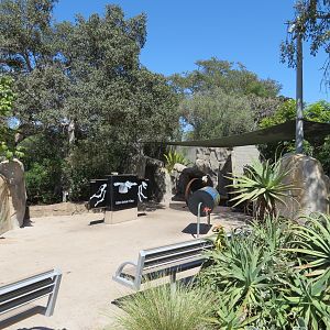 Elephant Odyssey - Play Area