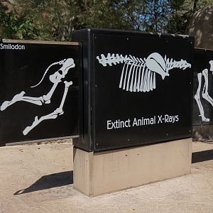 Elephant Odyssey - Play Area