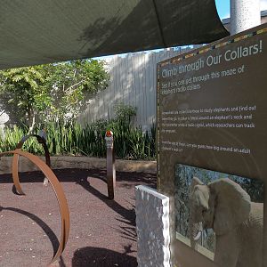 Elephant Odyssey - Play Area