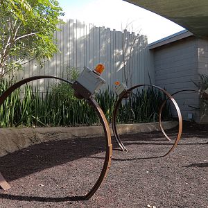 Elephant Odyssey - Play Area