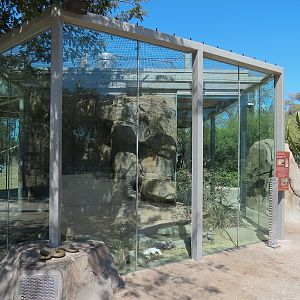 Elephant Odyssey - Rattlesnake Exhibit