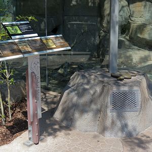 Elephant Odyssey - Rattlesnake Exhibit