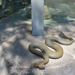 Elephant Odyssey - Rattlesnake Exhibit - Statue