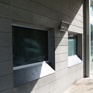 Elephant Odyssey - Rattlesnake Exhibit