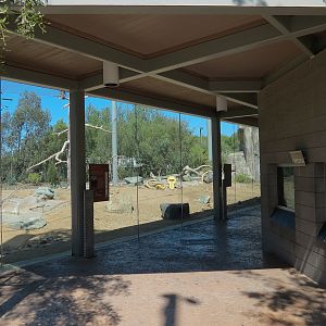 Elephant Odyssey - California Condor Exhibit