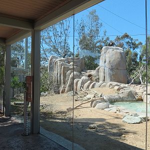 Elephant Odyssey - California Condor Exhibit