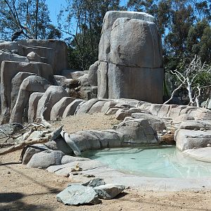 Elephant Odyssey - California Condor Exhibit