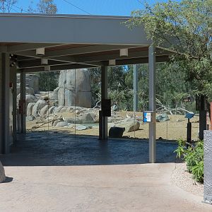 Elephant Odyssey - California Condor Exhibit
