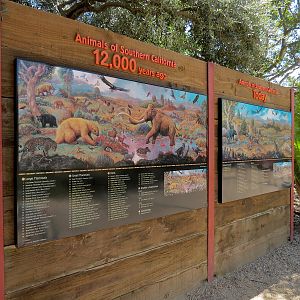 Elephant Odyssey - Sign