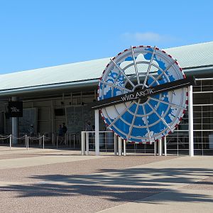Wild Arctic - Exterior