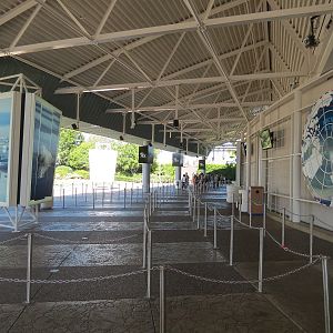 Wild Arctic - Exterior