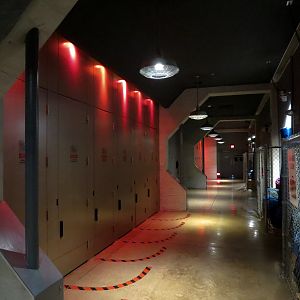 Wild Arctic - Ride Exit