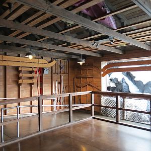 Wild Arctic - Beluga Whale Exhibit