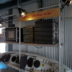 Wild Arctic - Beluga Whale Exhibit