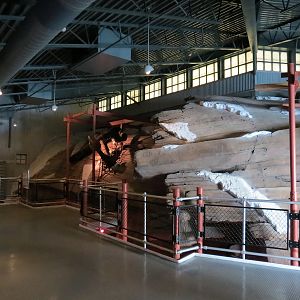 Wild Arctic - Exhibit Path Upper Floor and Simulated Shipwreck
