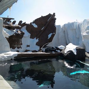 Wild Arctic - Polar Bear Exhibit