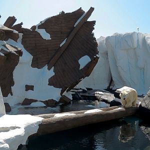 Wild Arctic - Polar Bear Exhibit