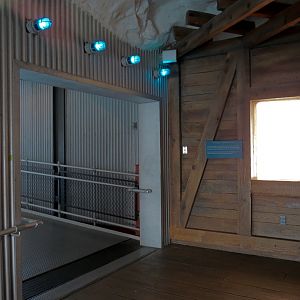 Wild Arctic - Polar Bear Exhibit