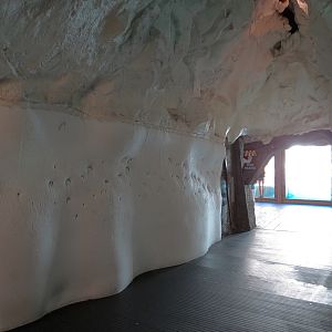 Wild Arctic - Ice Tunnel