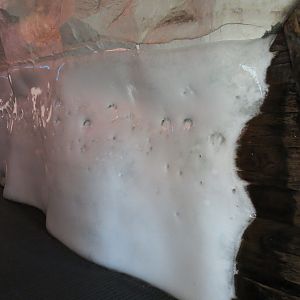 Wild Arctic - Ice Tunnel