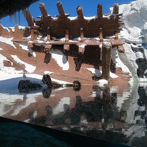 Wild Arctic - Walrus Exhibit