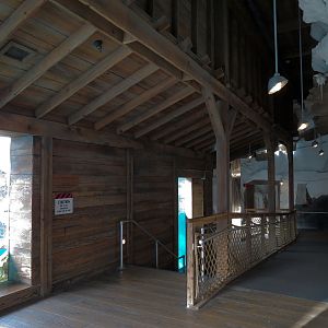 Wild Arctic - Walrus Exhibit