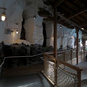 Wild Arctic - Walrus Exhibit