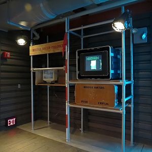 Wild Arctic - Beluga Whale Exhibit