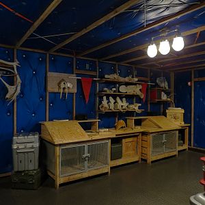 Wild Arctic - Base Station Theming