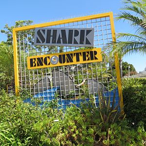 Shark Encounter - Sign
