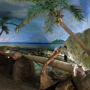 Shark Encounter - Exhibit 1