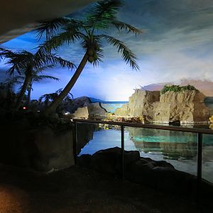 Shark Encounter - Exhibit 2