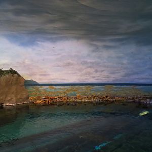 Shark Encounter - Exhibit 2