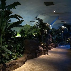 Shark Encounter - Exhibit Path