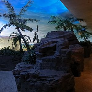 Shark Encounter - Exhibit Path