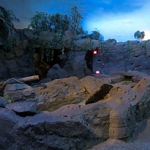 Shark Encounter - Exhibit 4