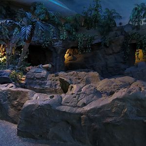 Shark Encounter - Exhibit 4