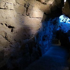 Shark Encounter - Cave Path to Underwater Tunnel