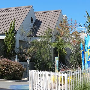 Turtle Reef - Exterior